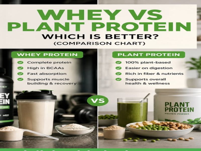 healthy protein shakes for fat loss