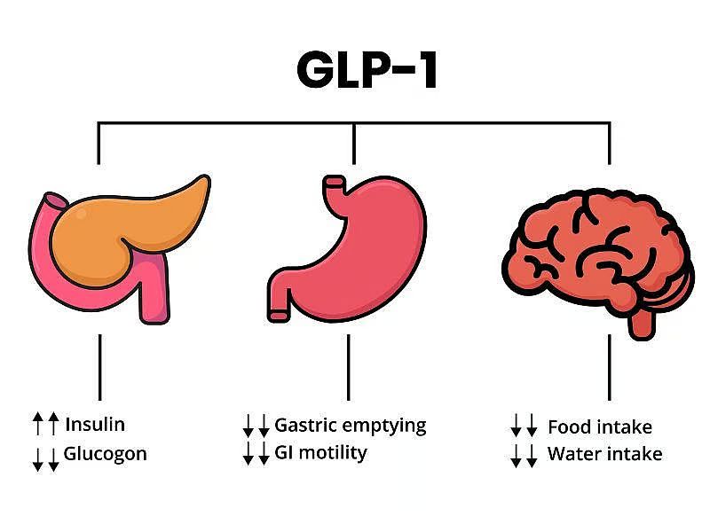 types of peptides used for weight loss