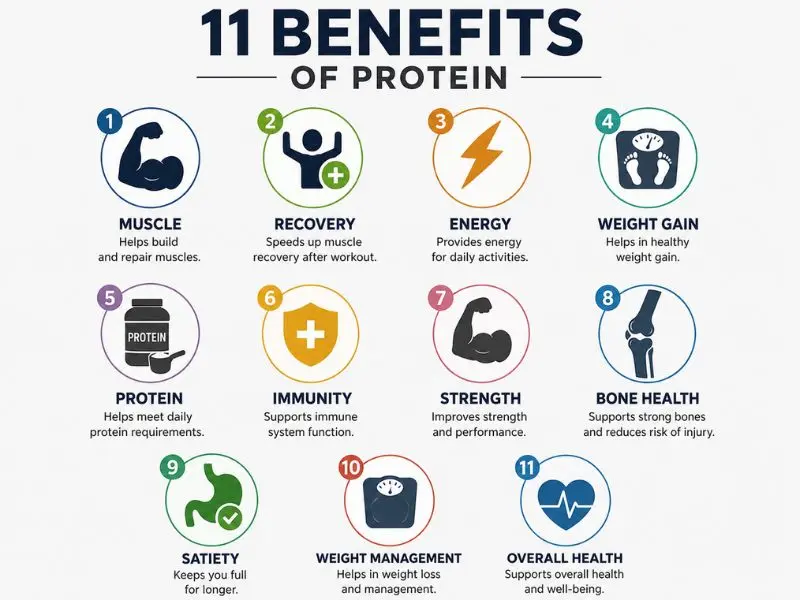 Benefits of protein shake muscle gain for recovery, strength, and lean muscle growth