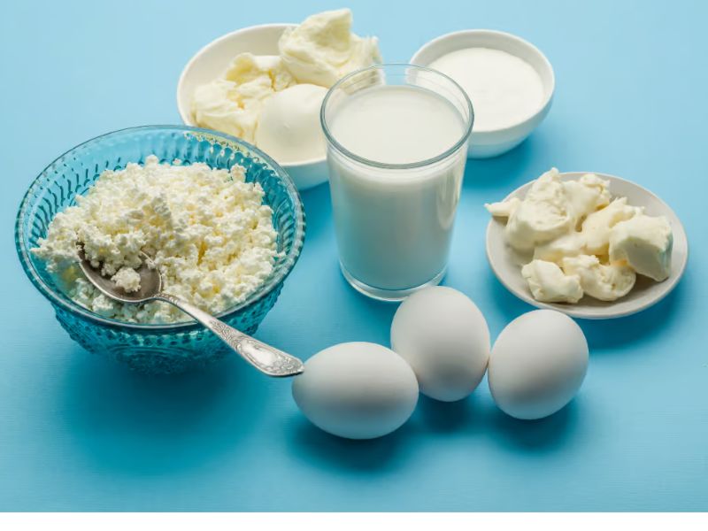 high protein foods for muscle growth